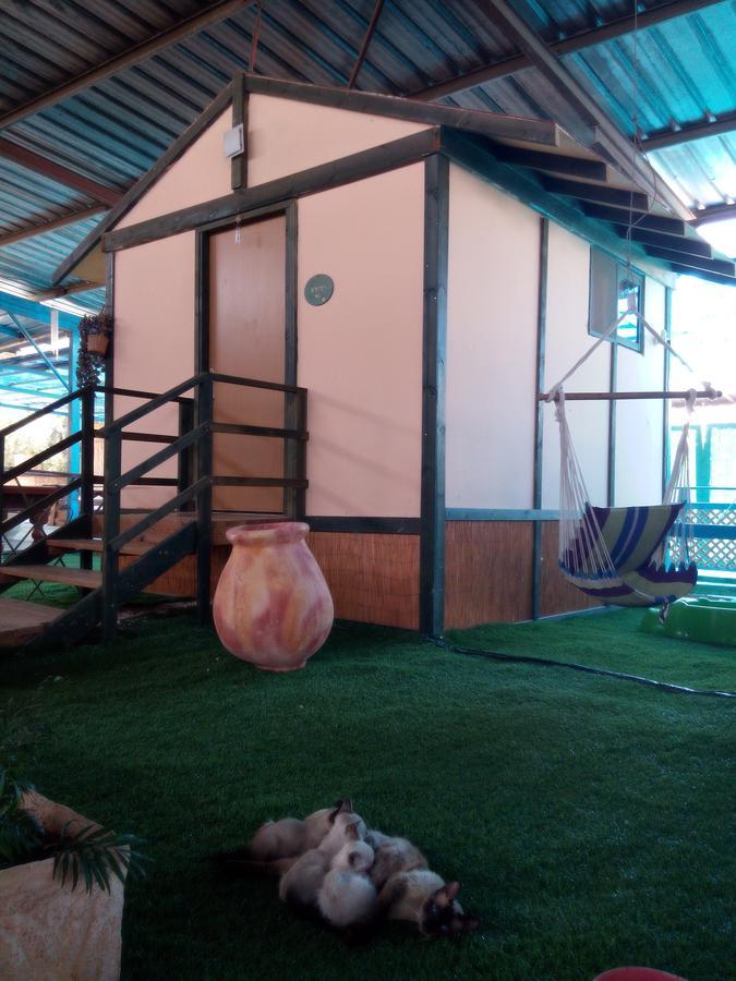 Adam's Farm Eliad